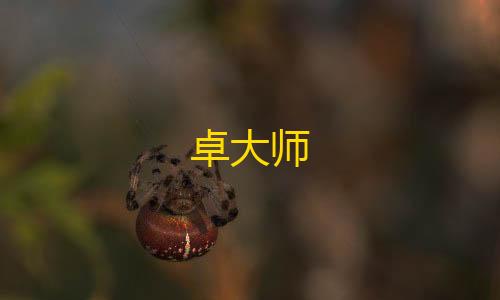 和平免费科技卓大师