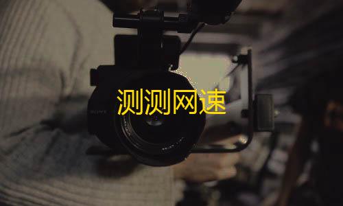 和平精英透视辅助器(免费)测测网速