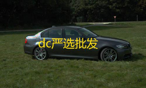 和平精英,刷刀体质dc严选批发